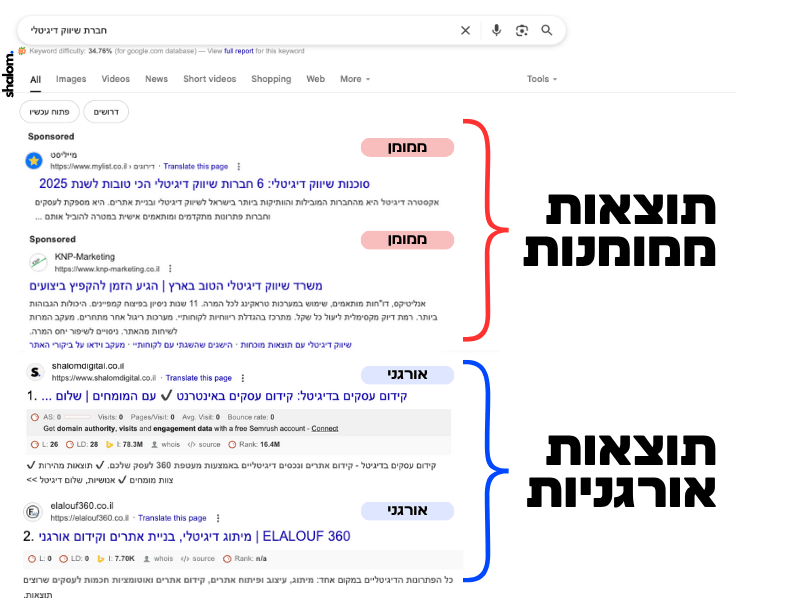 קידום אורגני בגוגל