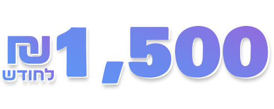 1500 מחיר לקידום אורגני